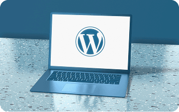 Headless CMS: Hype or Future?